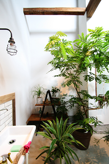 �T���l�C��01