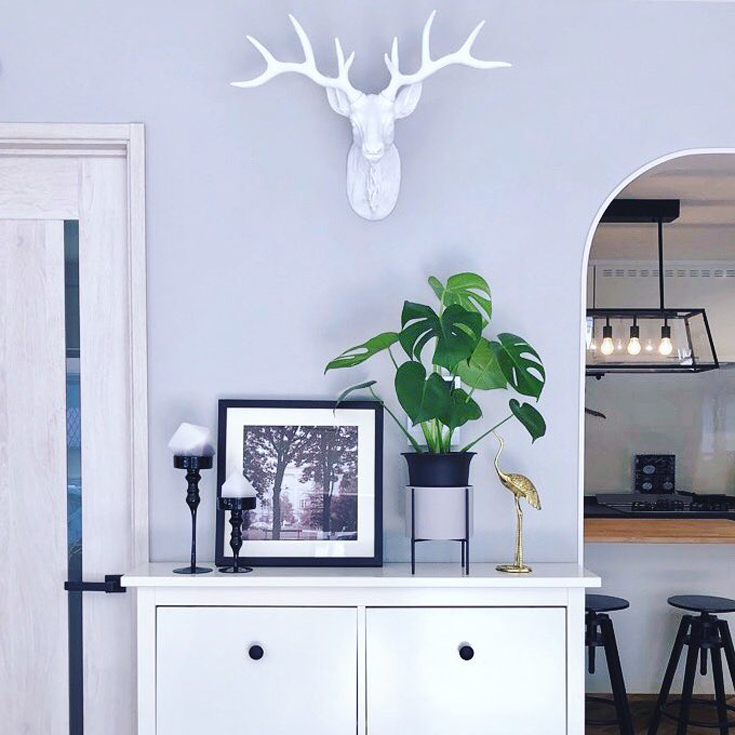 �_�C�j���O