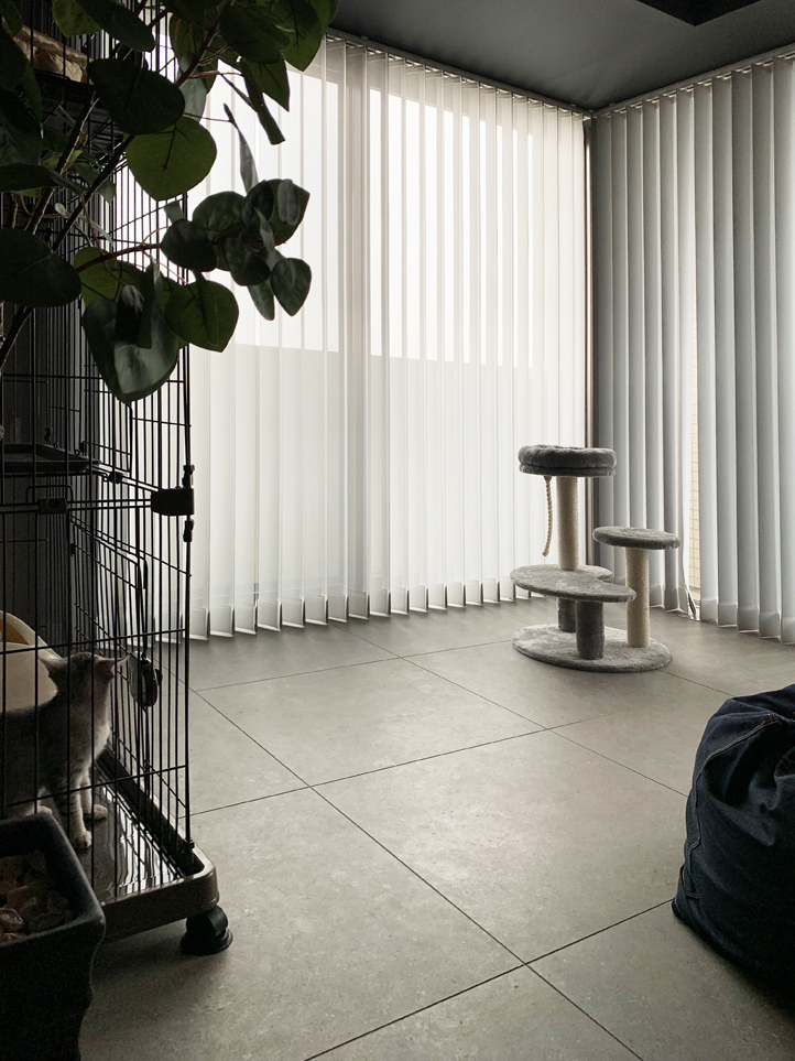 �T���l�C��01