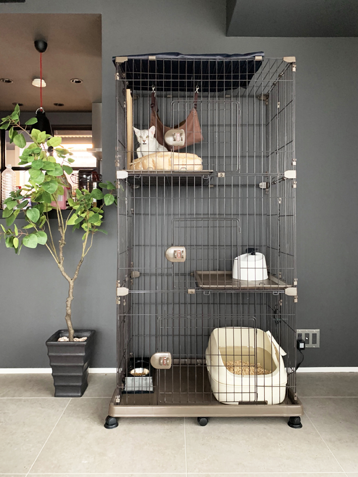 �T���l�C��01